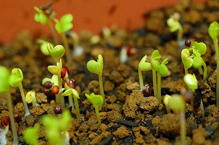 320-DSC_5841.jpg